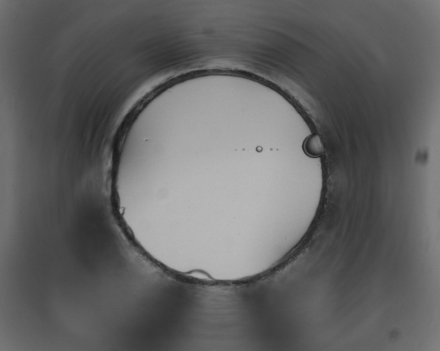 X0000097761126200803071249