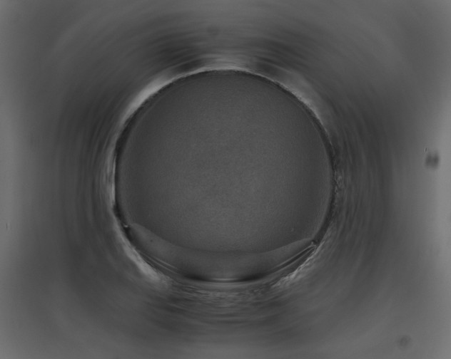 X0000097761127200803071249