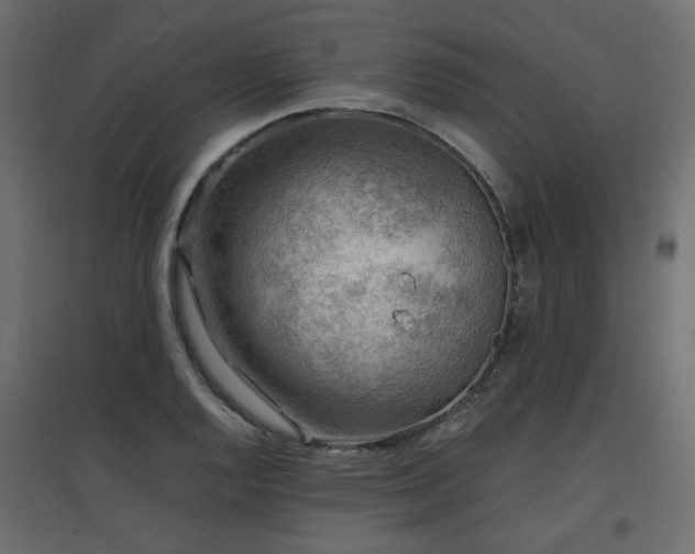 X0000097761128200803071249