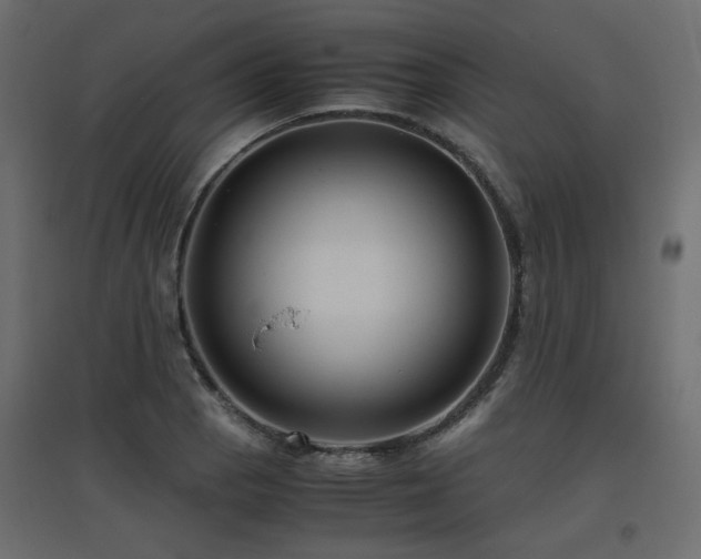 X0000097761129200803071249
