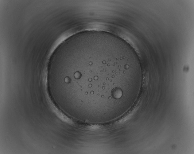X0000097761130200803071249