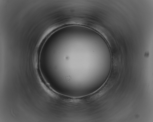 X0000097761131200803071249