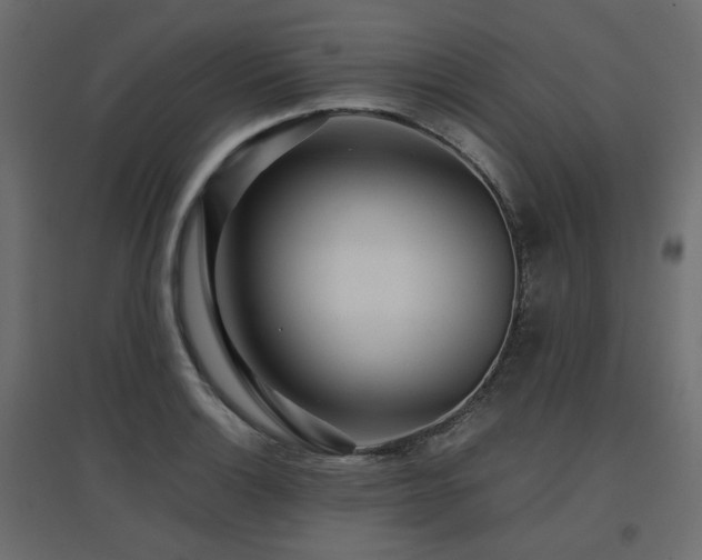 X0000097761132200803071249