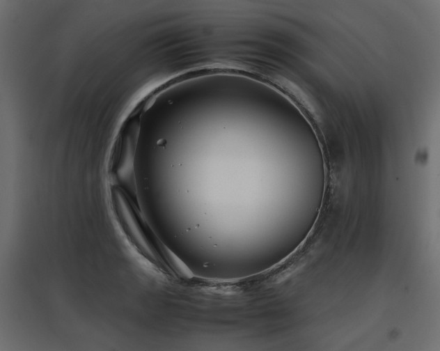 X0000097761133200803071249
