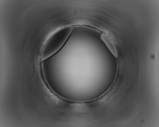 X0000097761134200803071249