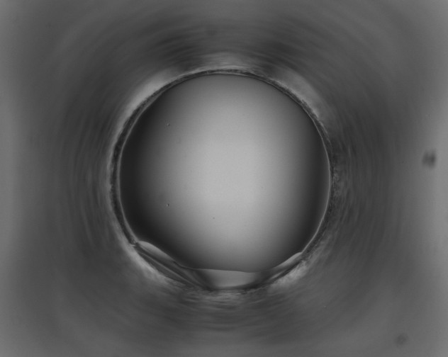 X0000097761135200803071249