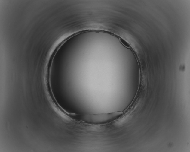 X0000097761136200803071249