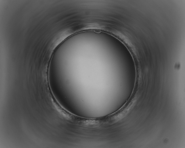 X0000097761137200803071249