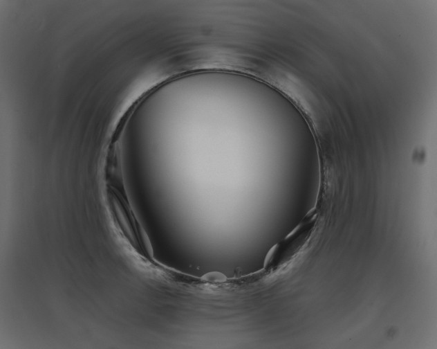 X0000097761138200803071249