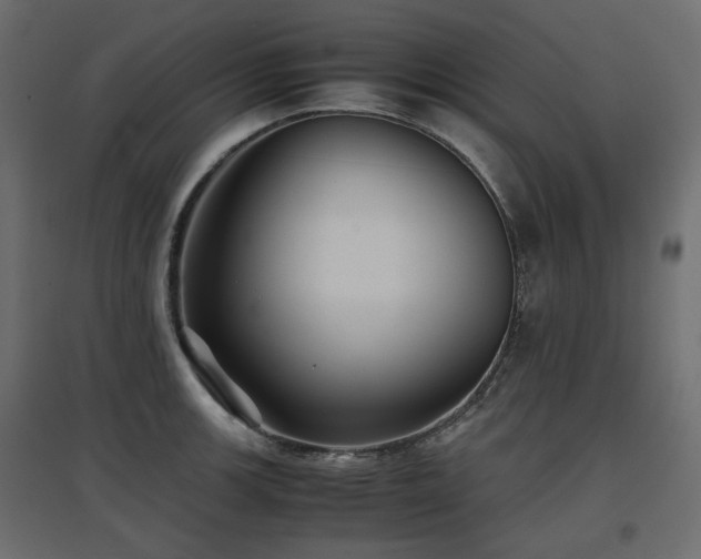 X0000097761139200803071249