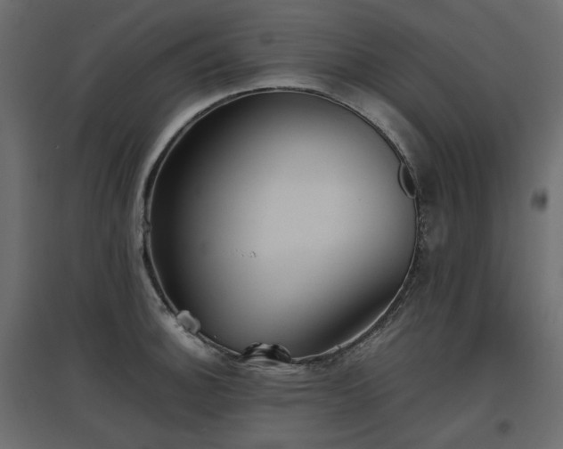 X0000097761140200803071249