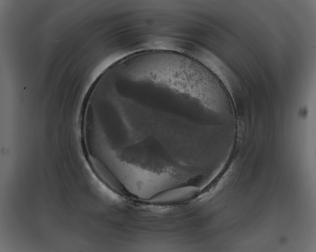 X0000097761141200803071249