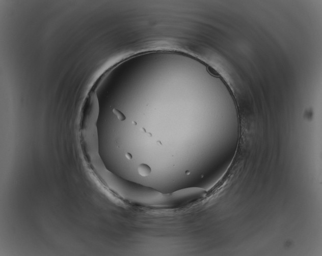 X0000097761142200803071249