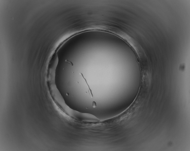 X0000097761143200803071249