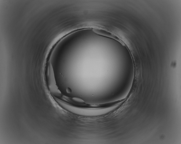 X0000097761144200803071249
