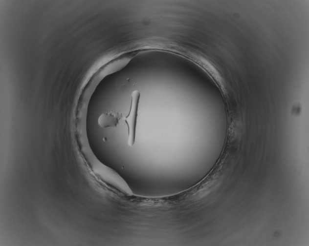 X0000097761146200803071249