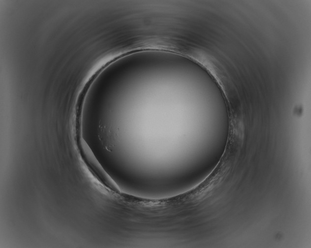 X0000097761147200803071249