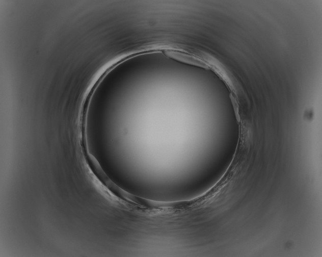 X0000097761148200803071249