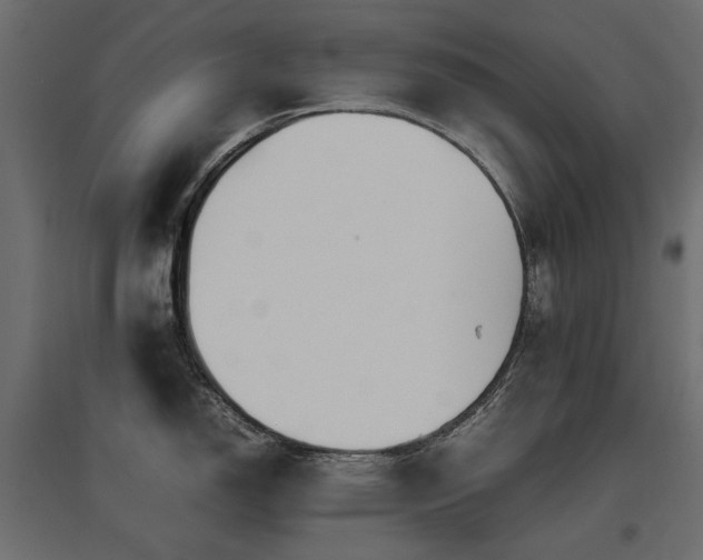 X0000097761150200803071249