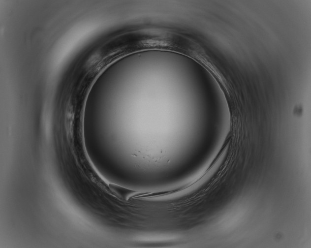 X0000097761151200803071249