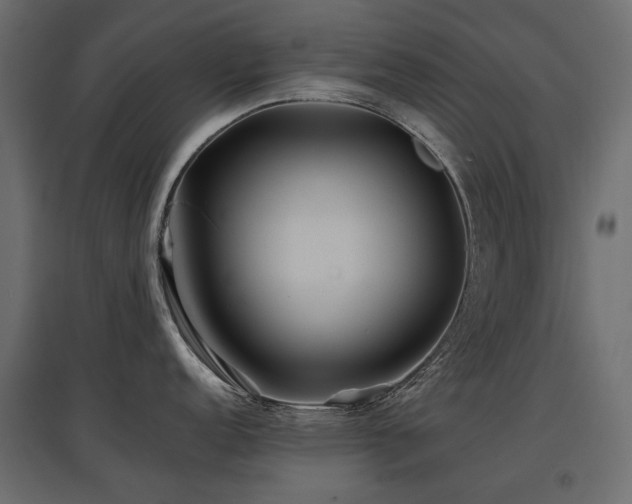 X0000097761152200803071249