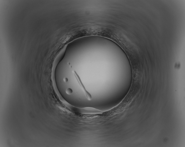 X0000097761153200803071248