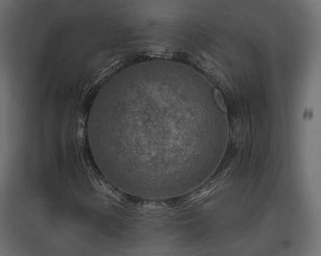 X0000097761154200803071248
