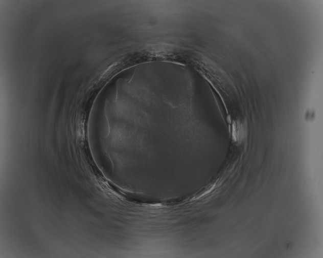X0000097761155200803071248