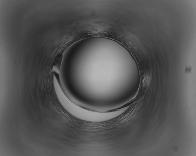 X0000097761156200803071248