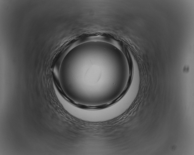 X0000097761157200803071248