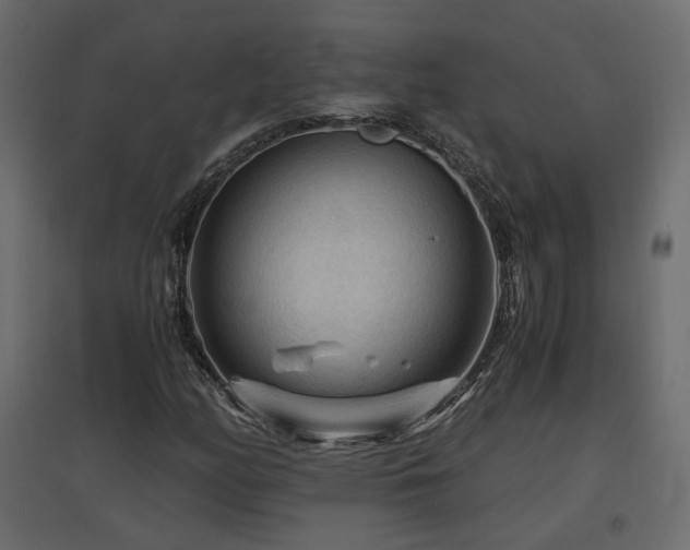 X0000097761158200803071248