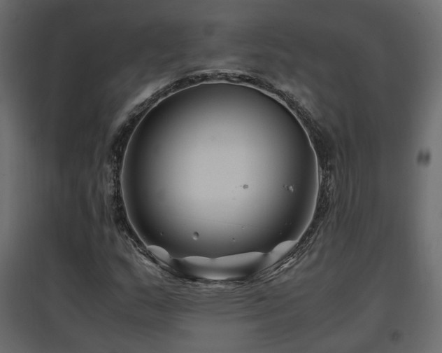 X0000097761159200803071248