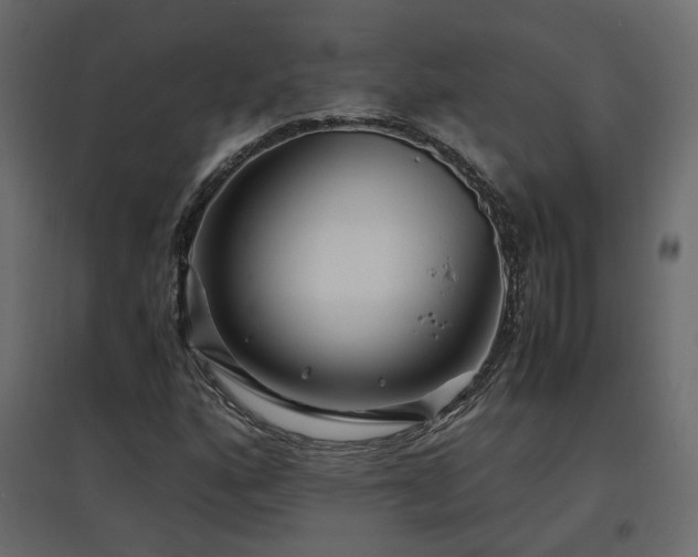 X0000097761160200803071248