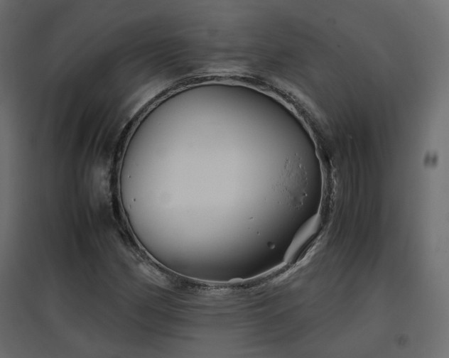 X0000097761162200803071248