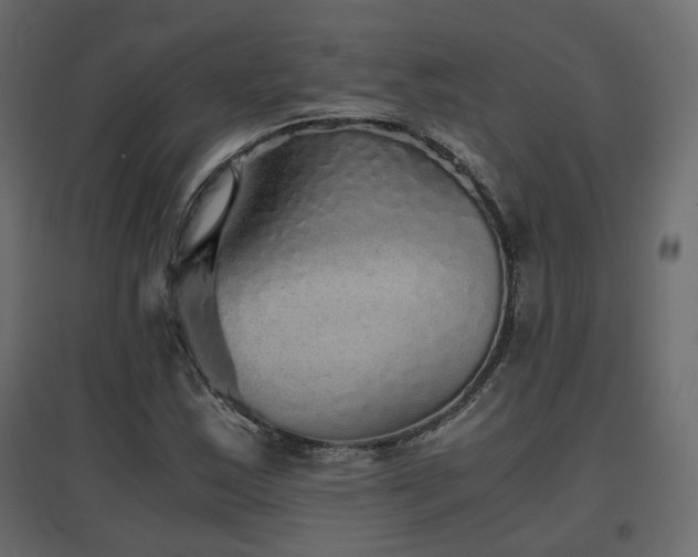 X0000097761163200803071248