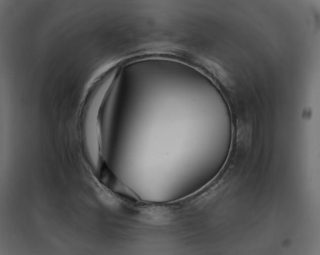 X0000097761164200803071248