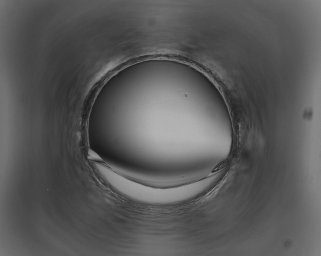 X0000097761165200803071248