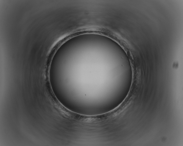 X0000097761166200803071248