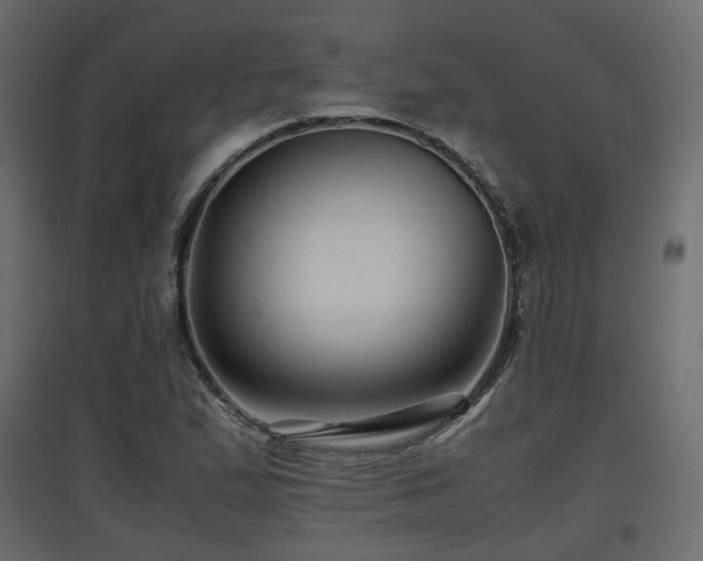 X0000097761167200803071248