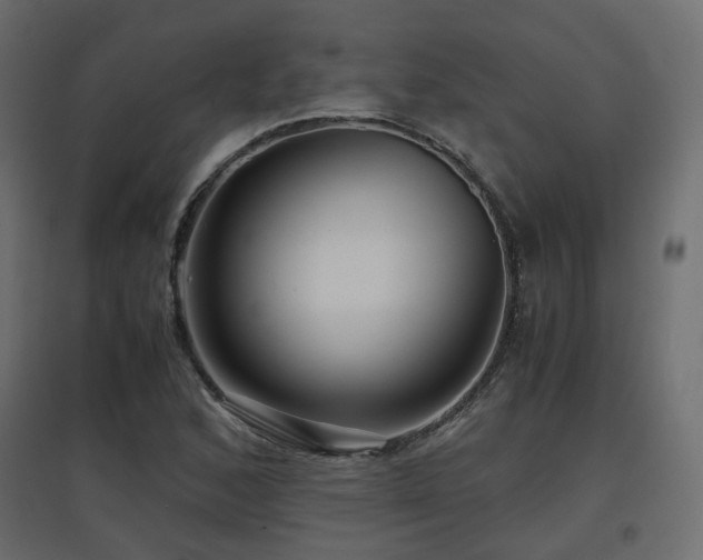 X0000097761168200803071248