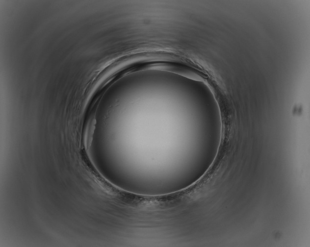 X0000097761169200803071248