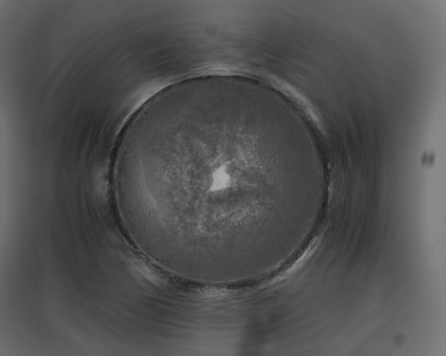 X0000097761170200803071248