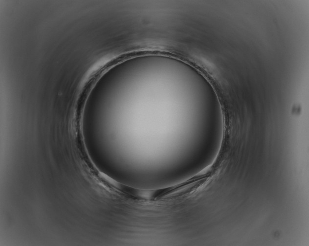 X0000097761172200803071248