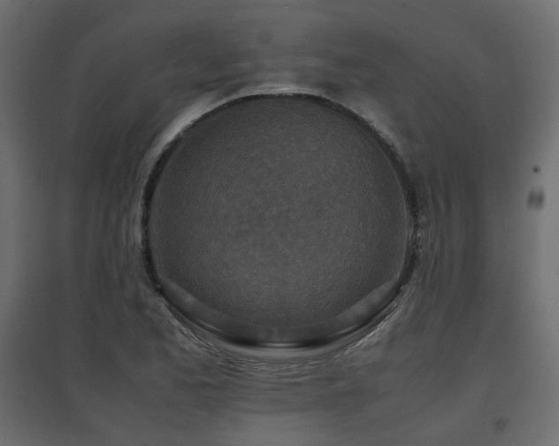 X0000097761173200803071248