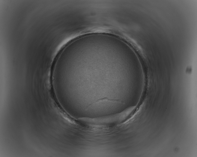 X0000097761174200803071248