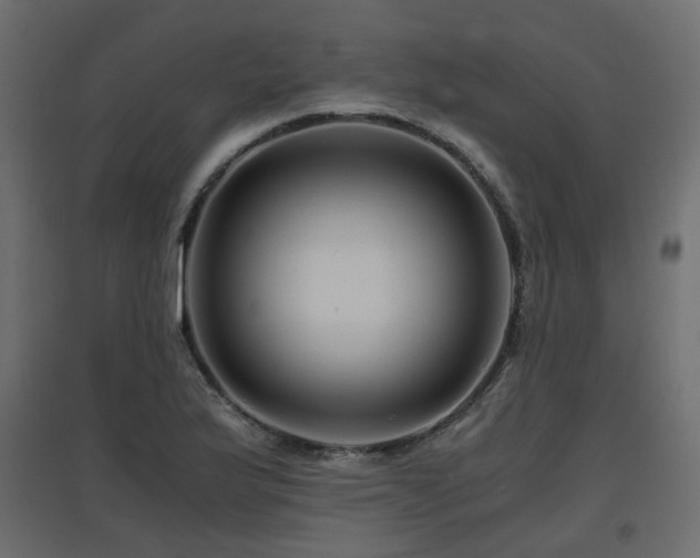 X0000097761175200803071248