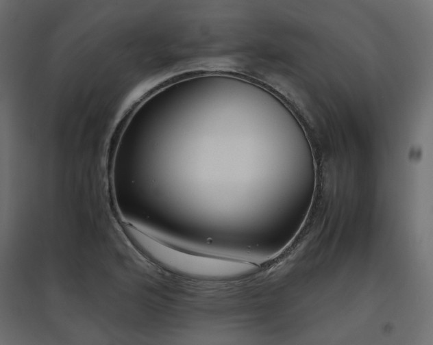 X0000097761176200803071248