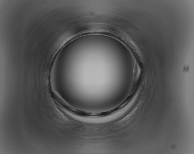 X0000097761177200803071248
