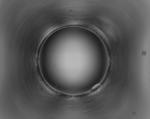 X0000097761178200803071248
