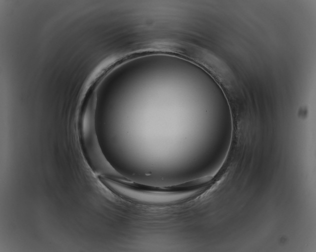 X0000097761180200803071248
